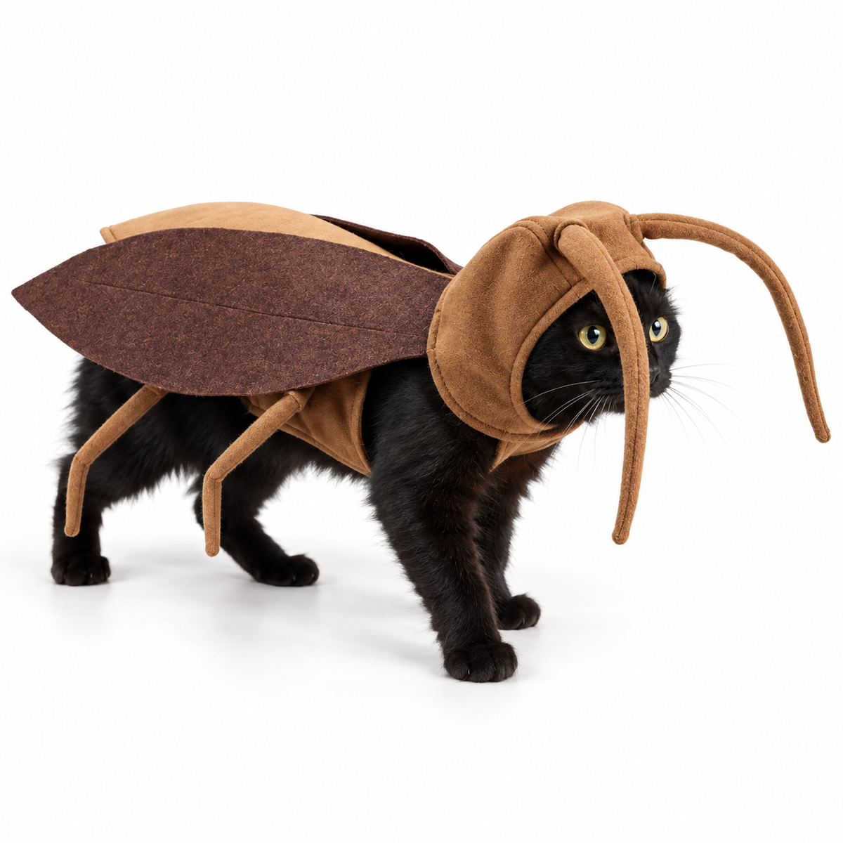 Cockroach Cat Costume