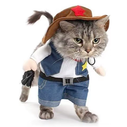 Cute Cowboy Cat-Dog Costume